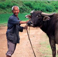 小型飼料顆粒機(jī),農(nóng)民圓夢(mèng)！